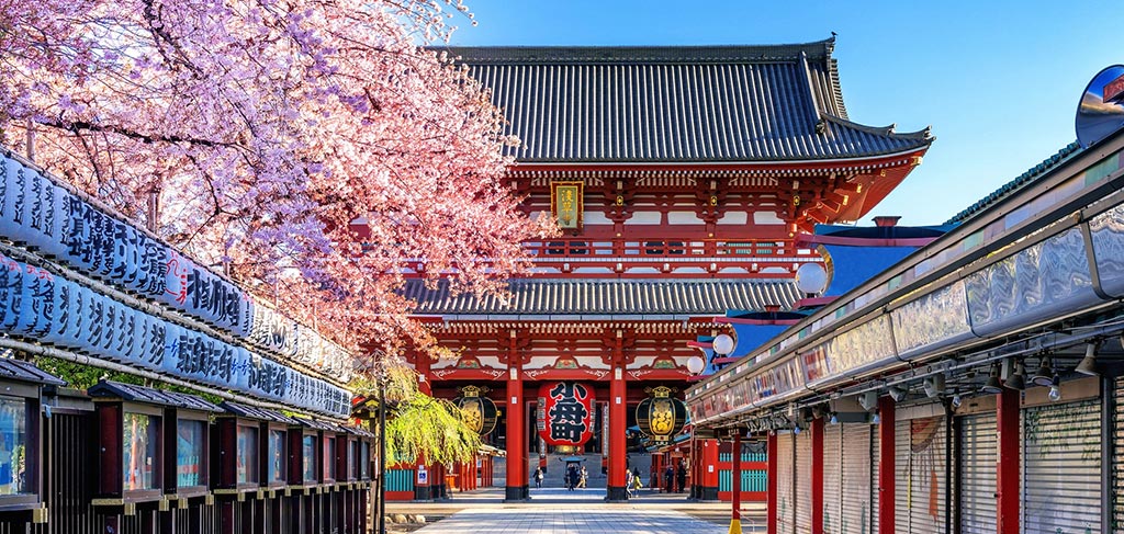 Tokyo Japan 48 hours solo travel — city streets and neon lights
