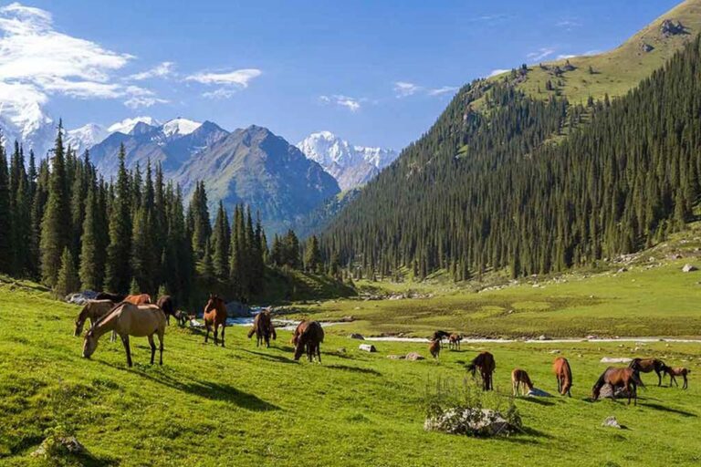 Solo Travel in Kyrgyzstan — Central Asia’s Most Underrated AdventureSolo Travel in Kyrgyzstan