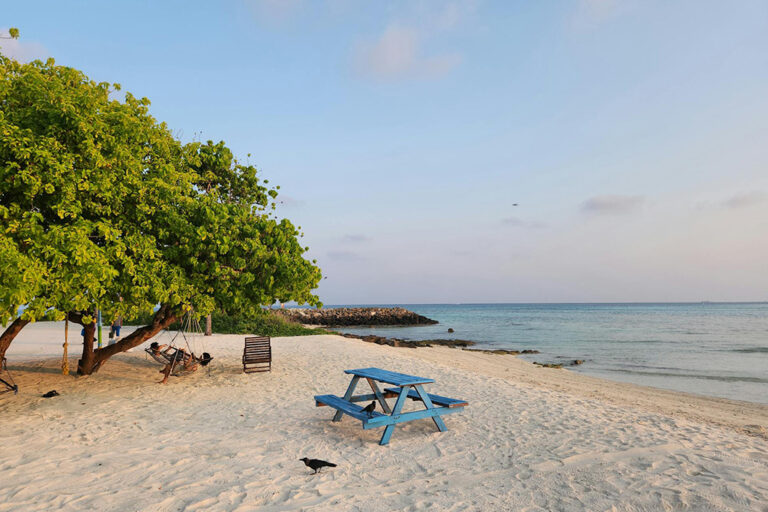 Quiet Maldives beach with blue picnic table, soft sand, and clear ocean view