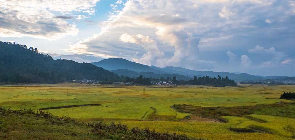 Ziro Valley Arunachal Pradesh India — pine forests paddy fields
