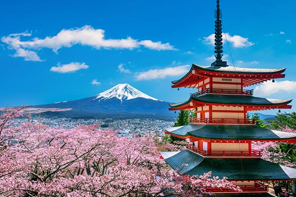 Japan travel destination — temples and cherry blossoms