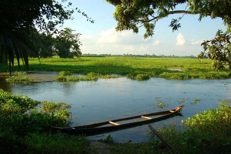 Majuli Island, Assam — The Mystical River Island Most Travelers Miss