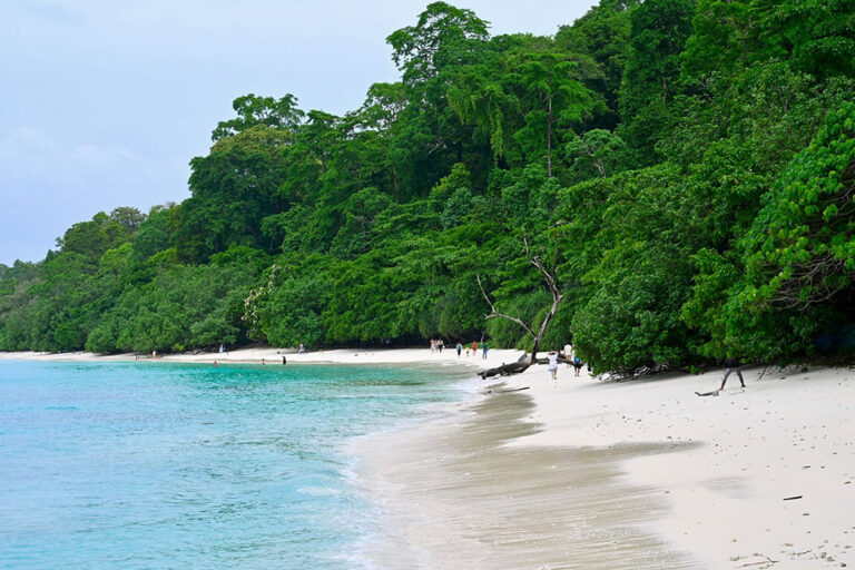 Andaman Islands Felt Like a Secret I Wasn’t Ready For